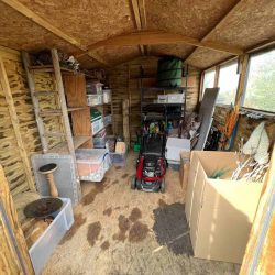 shed declutter Huntingdon (7)