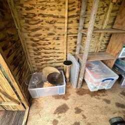 shed declutter Huntingdon (8)